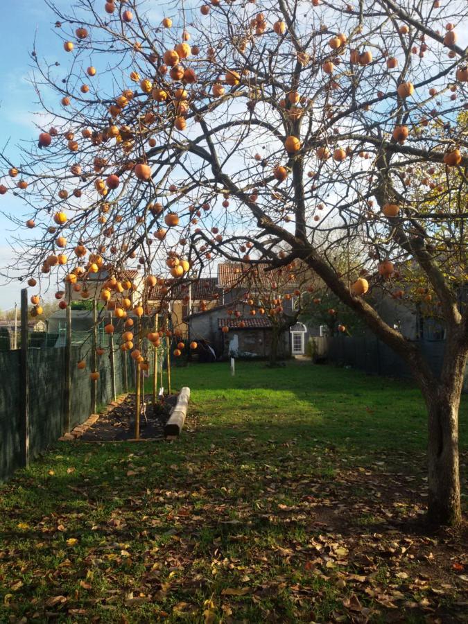 Zucchero Sui Baffi- Food Lovers B&B Mantova Exterior photo